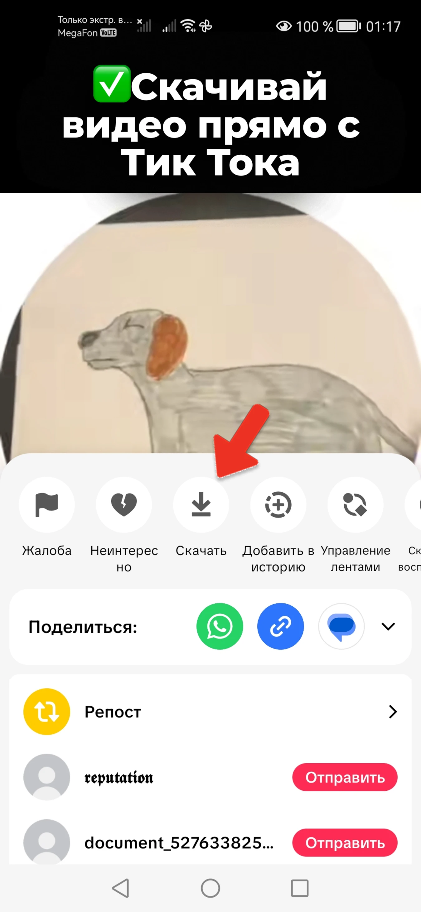 Скачивание без водяного знака